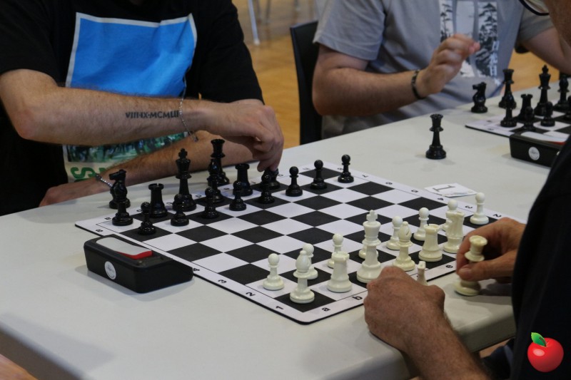 MTV_Torneo_Scacchi6.jpg (82 KB)
