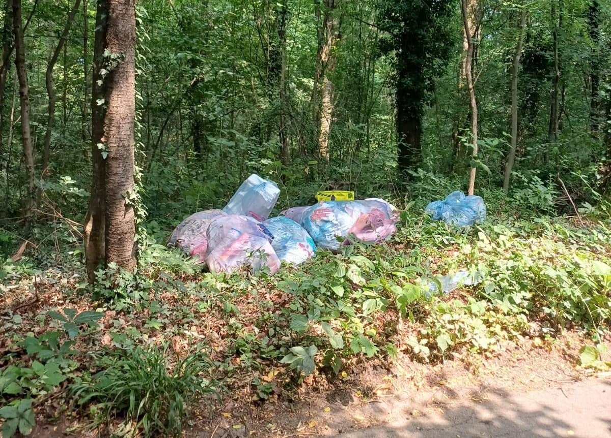 Olgiate_Plasticfree_Giugno1.jpg (639 KB)