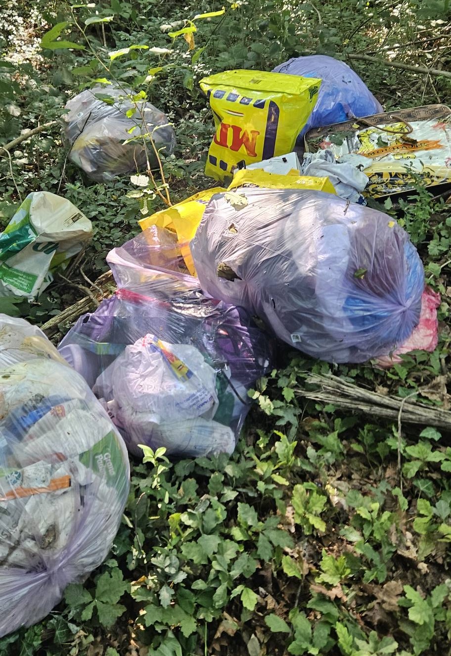 Olgiate_Plasticfree_Giugno6.jpg (604 KB)