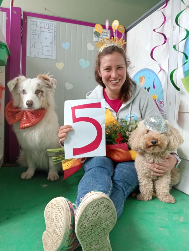 asilo_per_cani_compleanno.jpg (115 KB)