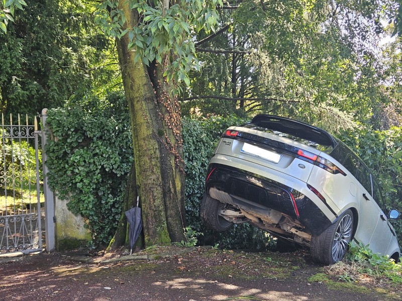 Cernusco_auto_fuoristrada2.jpeg (230 KB)