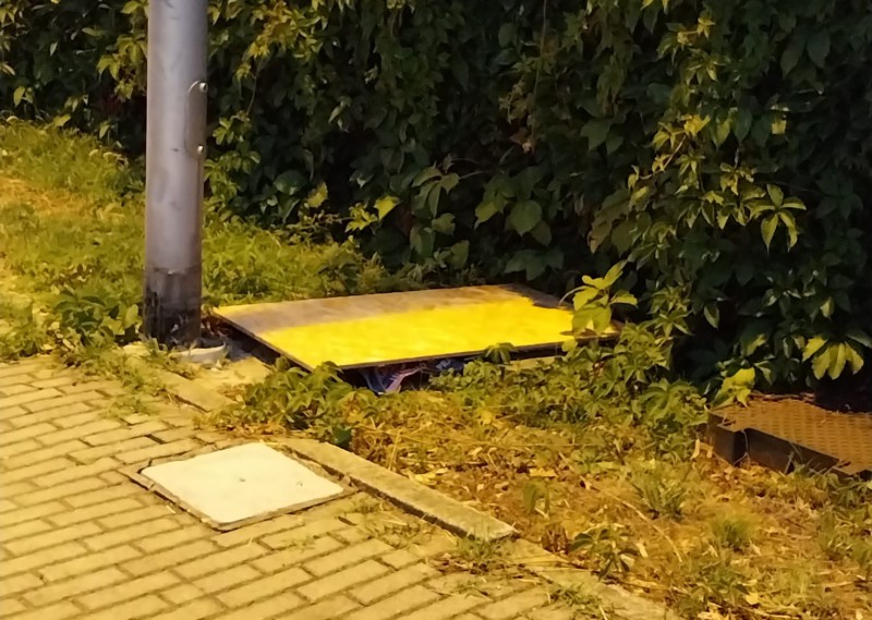 Lega_manifesti_strappati3.jpeg (127 KB)
