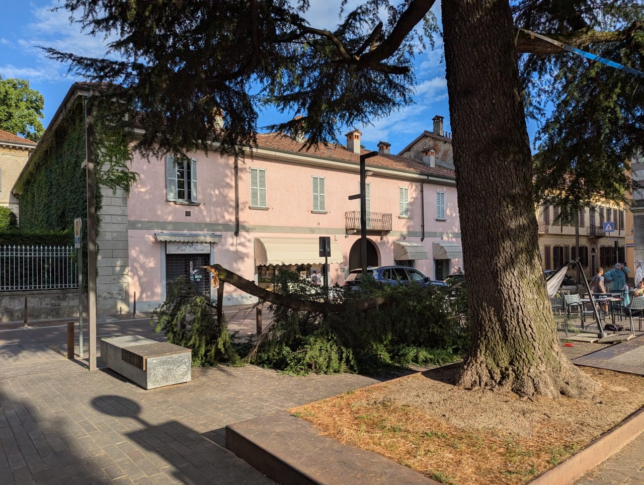 OsnagoAlberoCaduto2.jpg (275 KB)