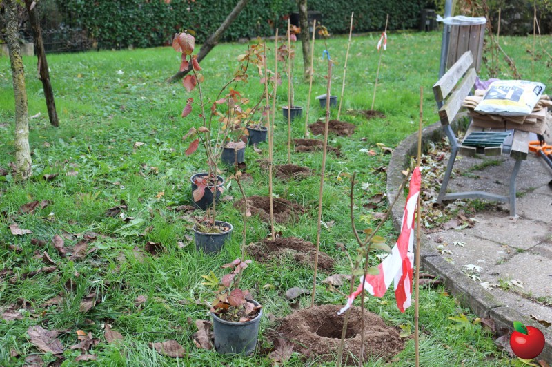 Osnago_forestazione2.jpg (179 KB)