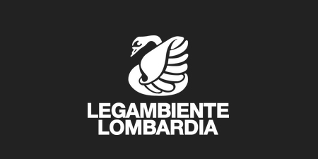 RpportoEcomiafiePRIMA.jpg (16 KB)