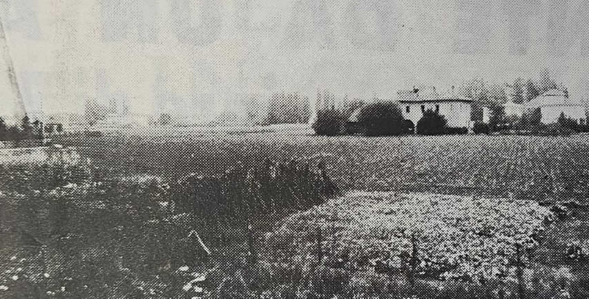 AccadevaFebbraioQuaranta7.jpg (99 KB)