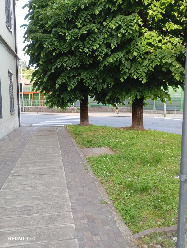 Erbe_Spontanee3.jpeg (166 KB)