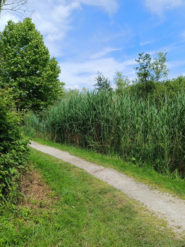 Lago_Sartirana_1.jpg (200 KB)