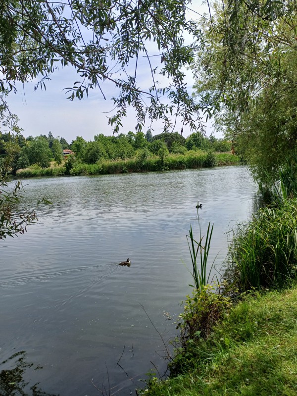 Lago_Sartirana_2.jpg (198 KB)