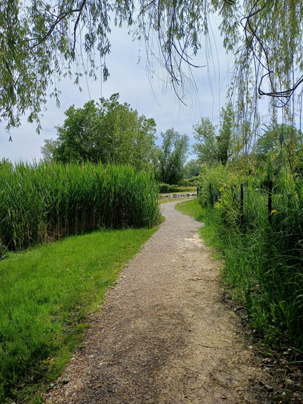 Lago_Sartirana_3.jpg (226 KB)