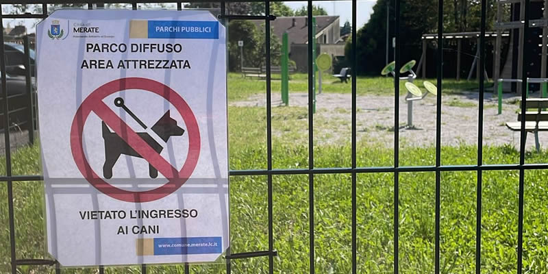 MerateComitatoAllendePRIMA.jpg (81 KB)