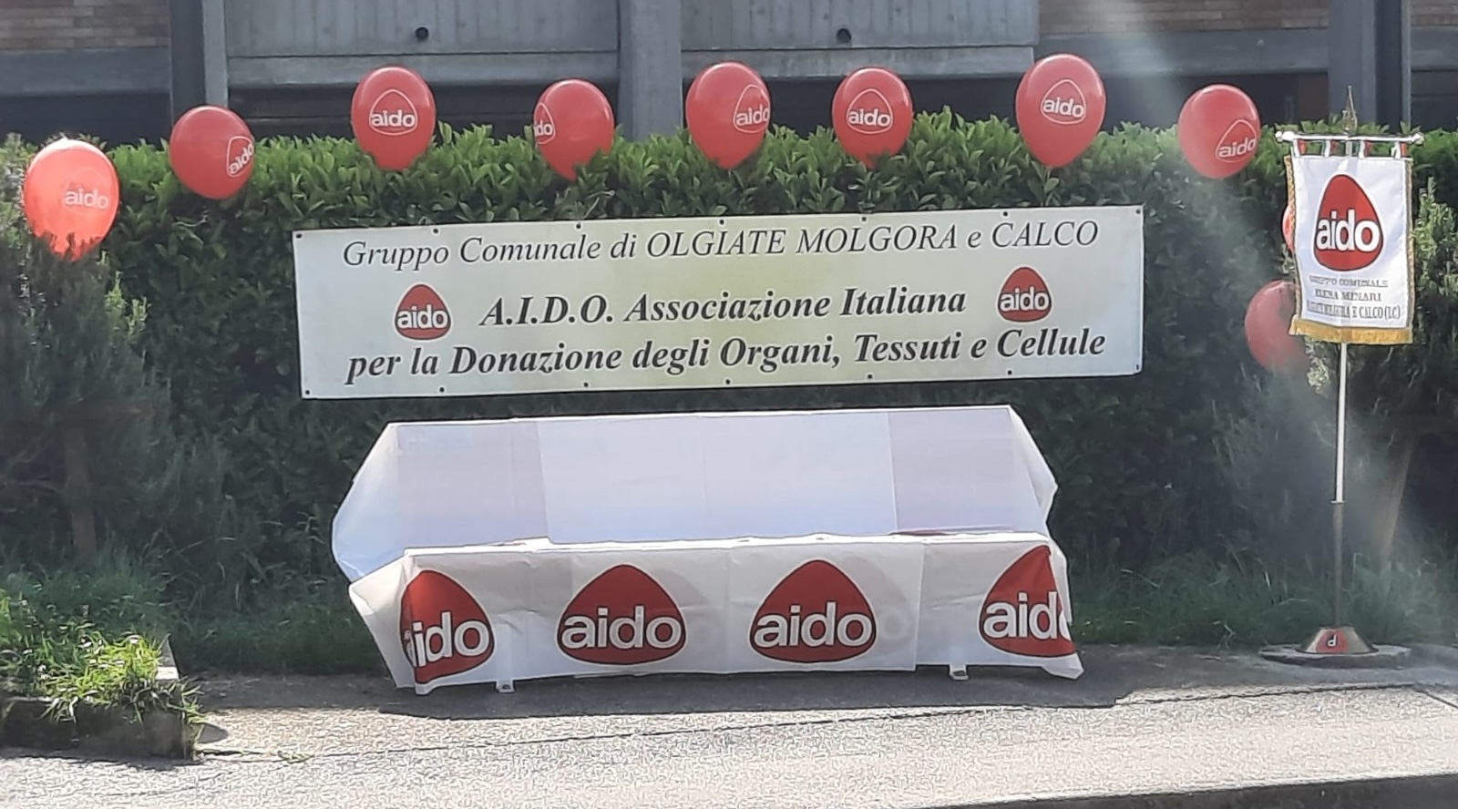 OlgiateAidoPanchinadelDono4.jpeg (408 KB)
