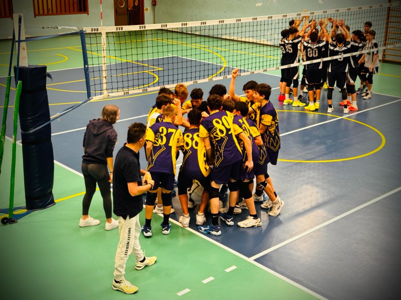 Volleydesio1.jpeg (141 KB)
