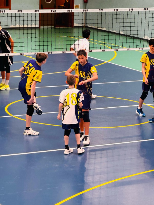 Volleydesio2.jpeg (125 KB)