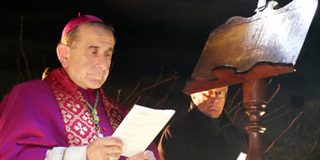 delpiniviacrucis_2col.jpg (40 KB)