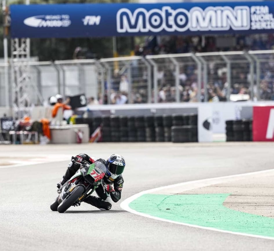 AleGasWorldSeries5.jpeg (190 KB)