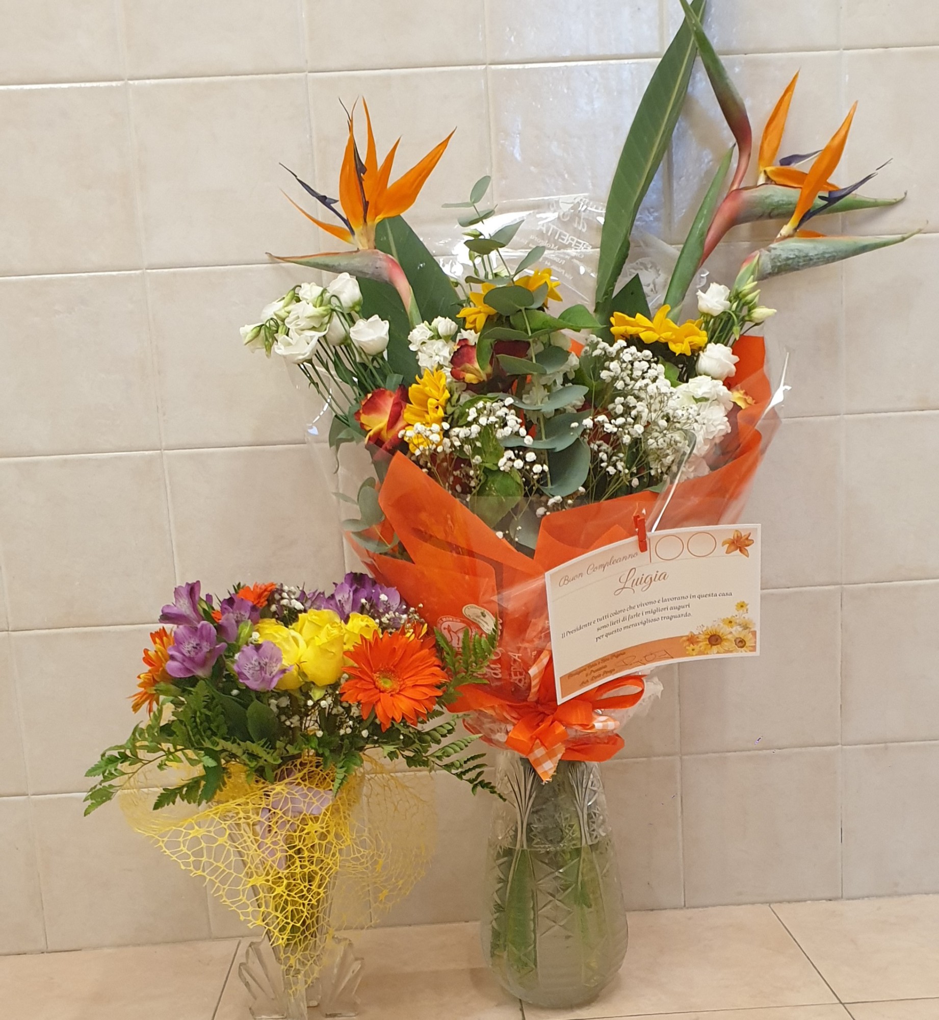 Brivio_Luigia_Gerbelli5.jpg (592 KB)