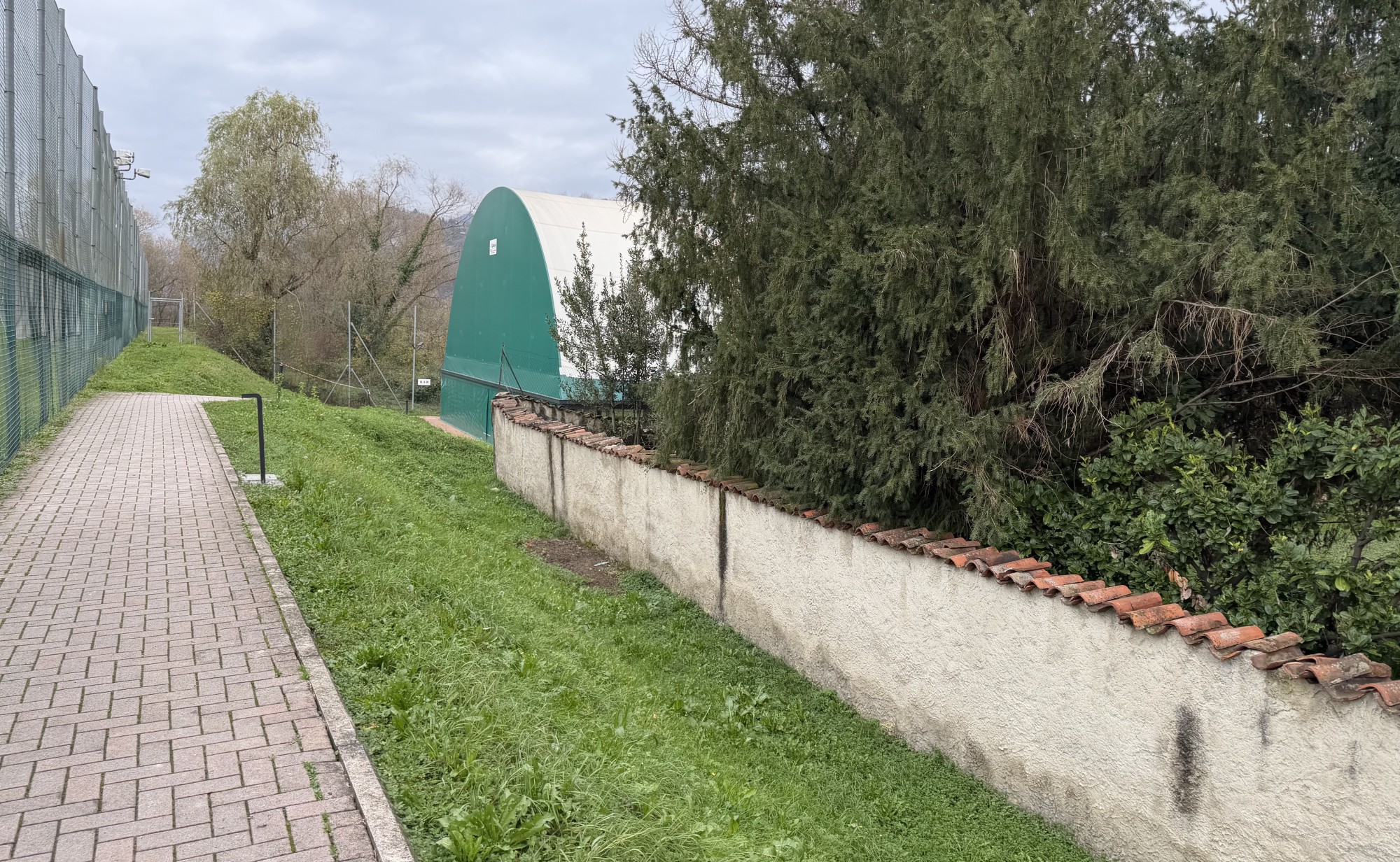 Brivio_Pallone2.jpeg (938 KB)