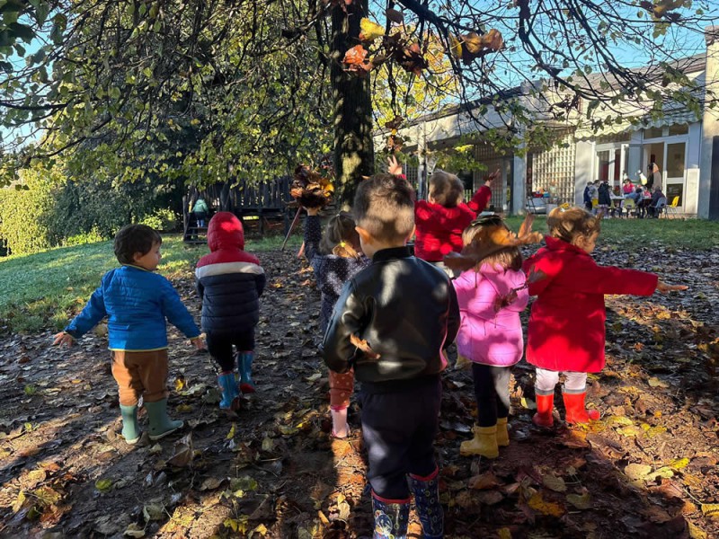 CalcoAsiloOrigo.jpg (205 KB)