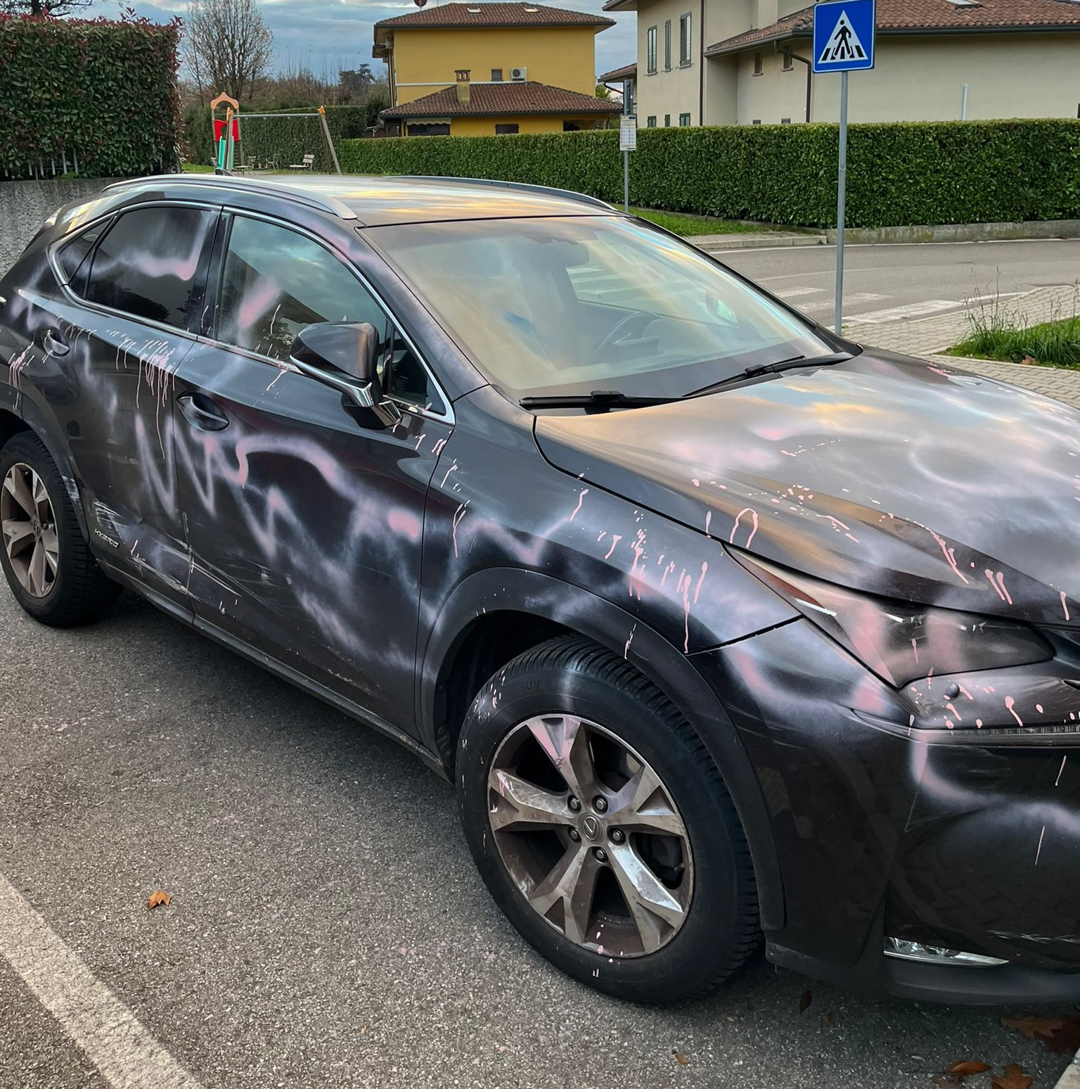 CassinaAutoRiva.jpg (652 KB)