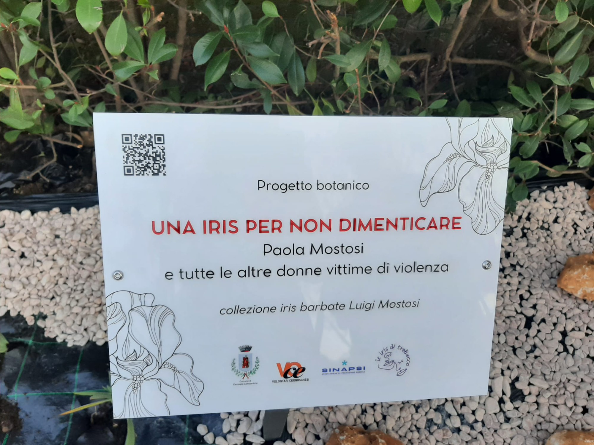 CernuscoIrisParco6.jfif (457 KB)