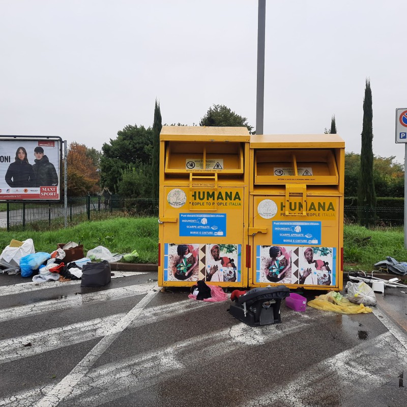 IMG-20251101-WA0090.jpg (185 KB)