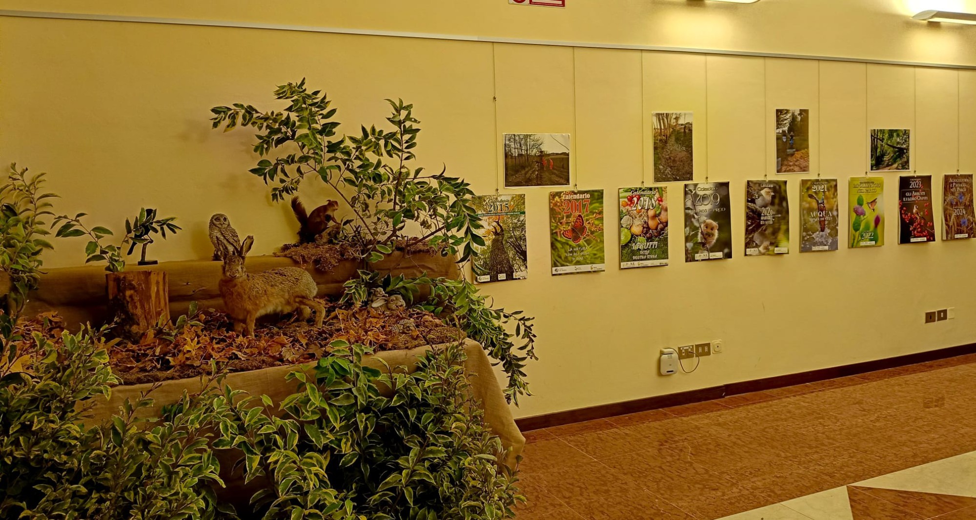 LocandinaMostraRoggia3.jpg (465 KB)