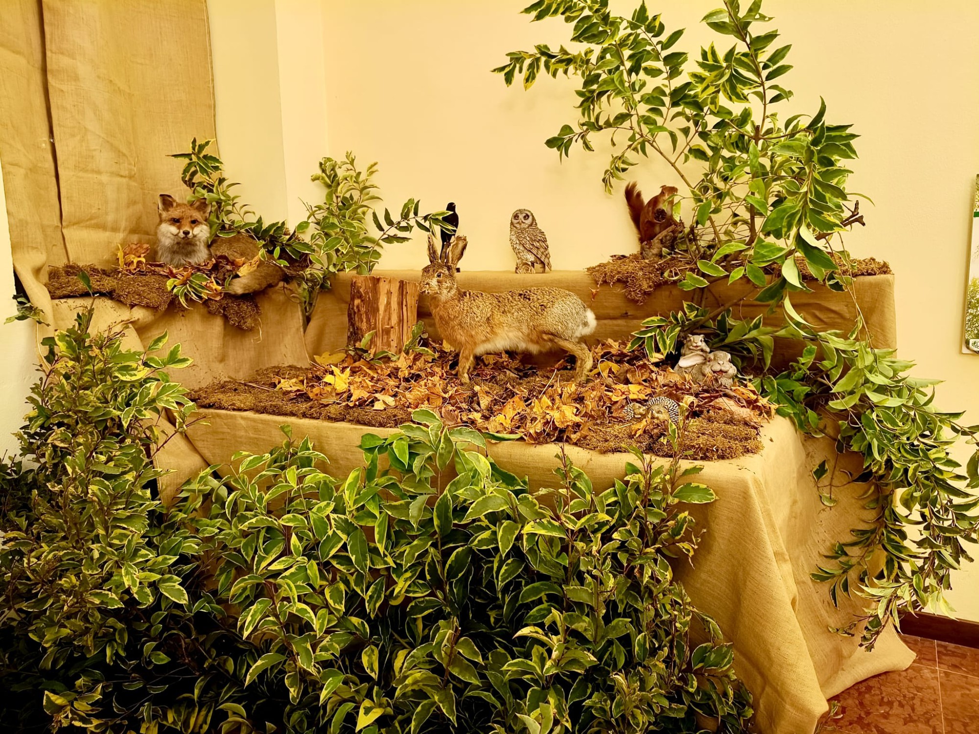 LocandinaMostraRoggia4.jpg (857 KB)