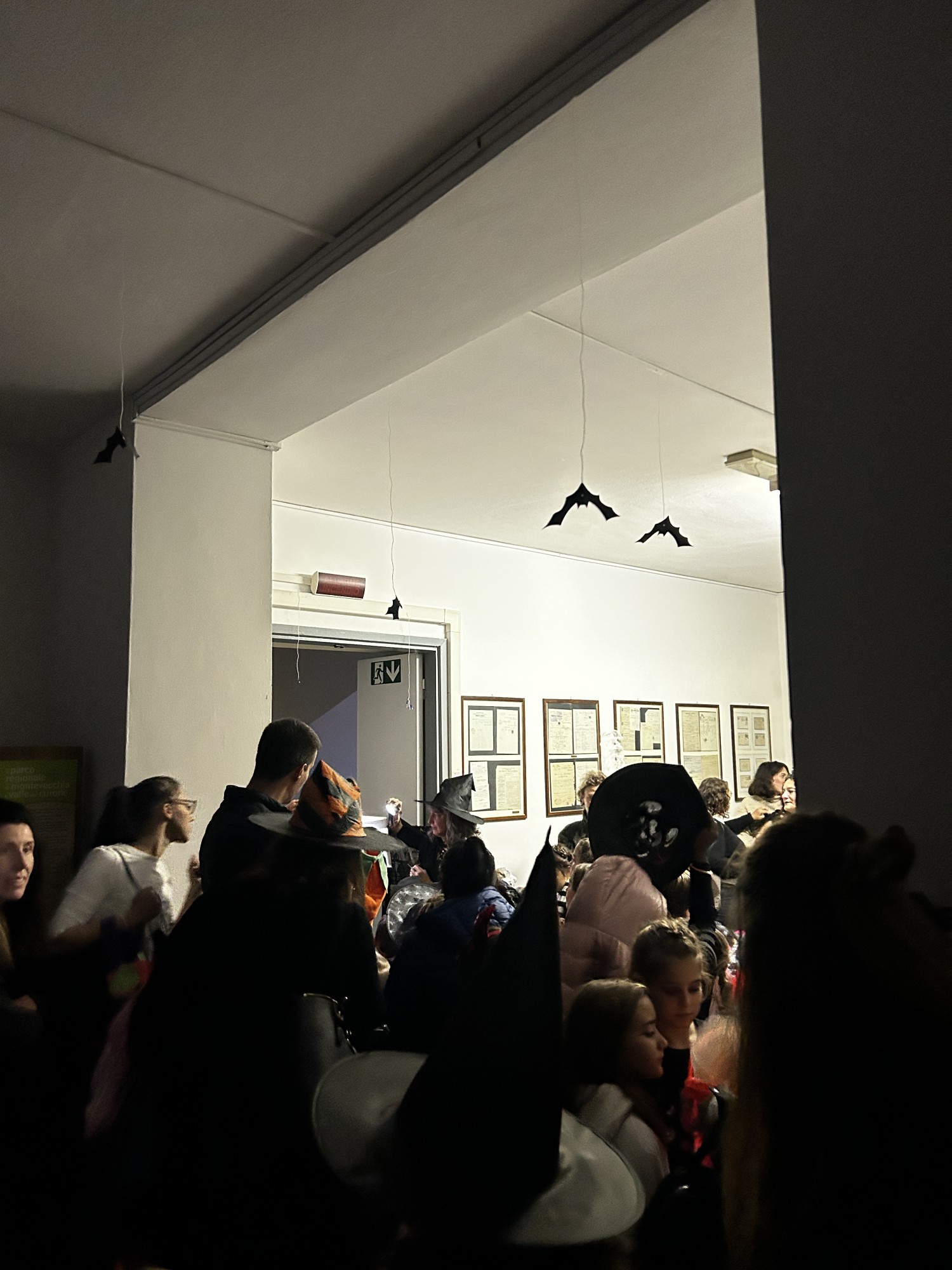 MerateHallMuseo__1_.jpeg (414 KB)