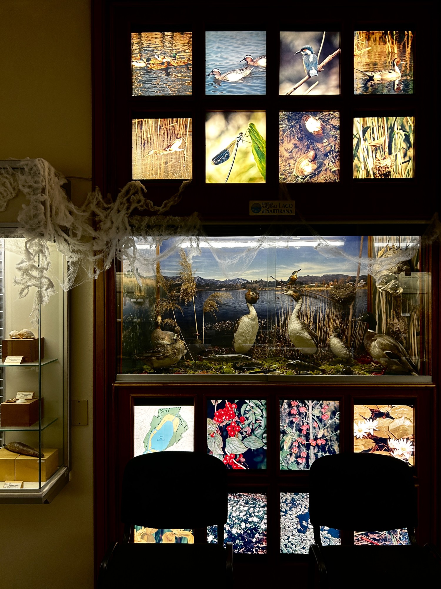 MerateHallMuseo__2_.jpeg (627 KB)