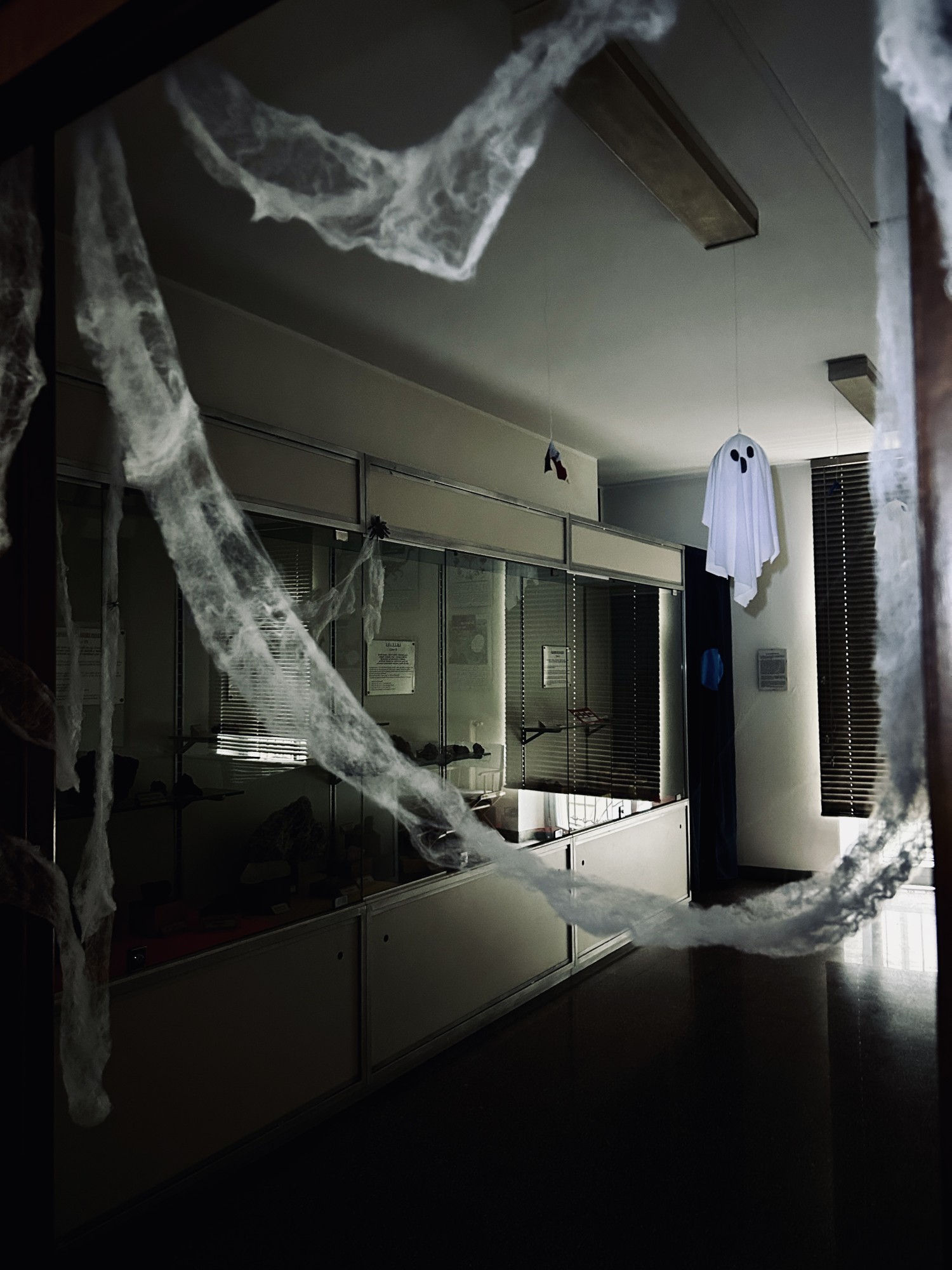 MerateHallMuseo__3_.jpeg (392 KB)