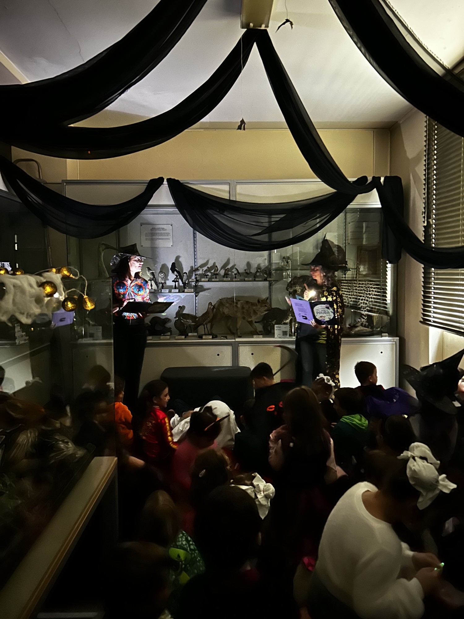 MerateHallMuseo__5_.jpeg (439 KB)