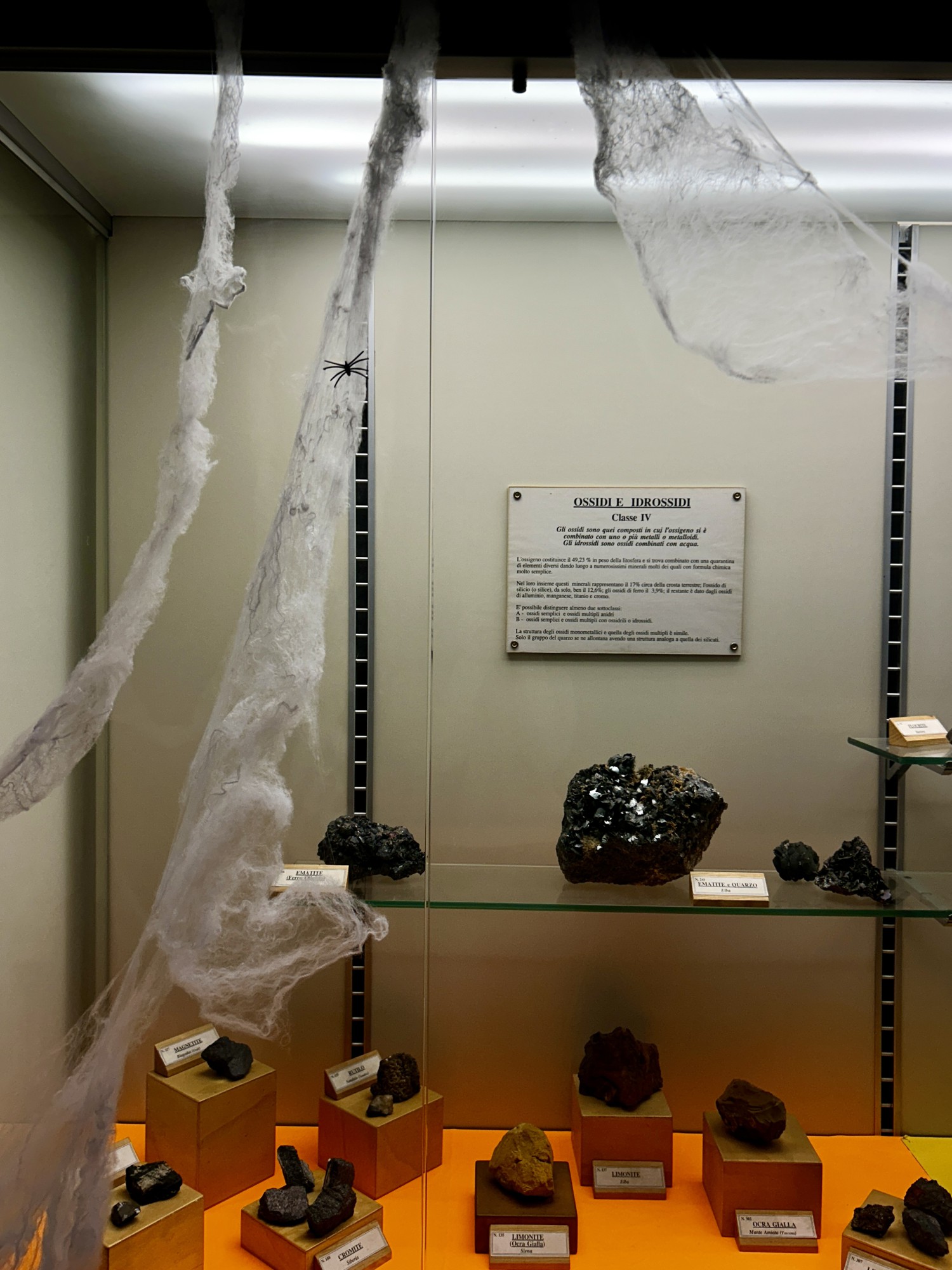 MerateHallMuseo__6_.jpeg (426 KB)