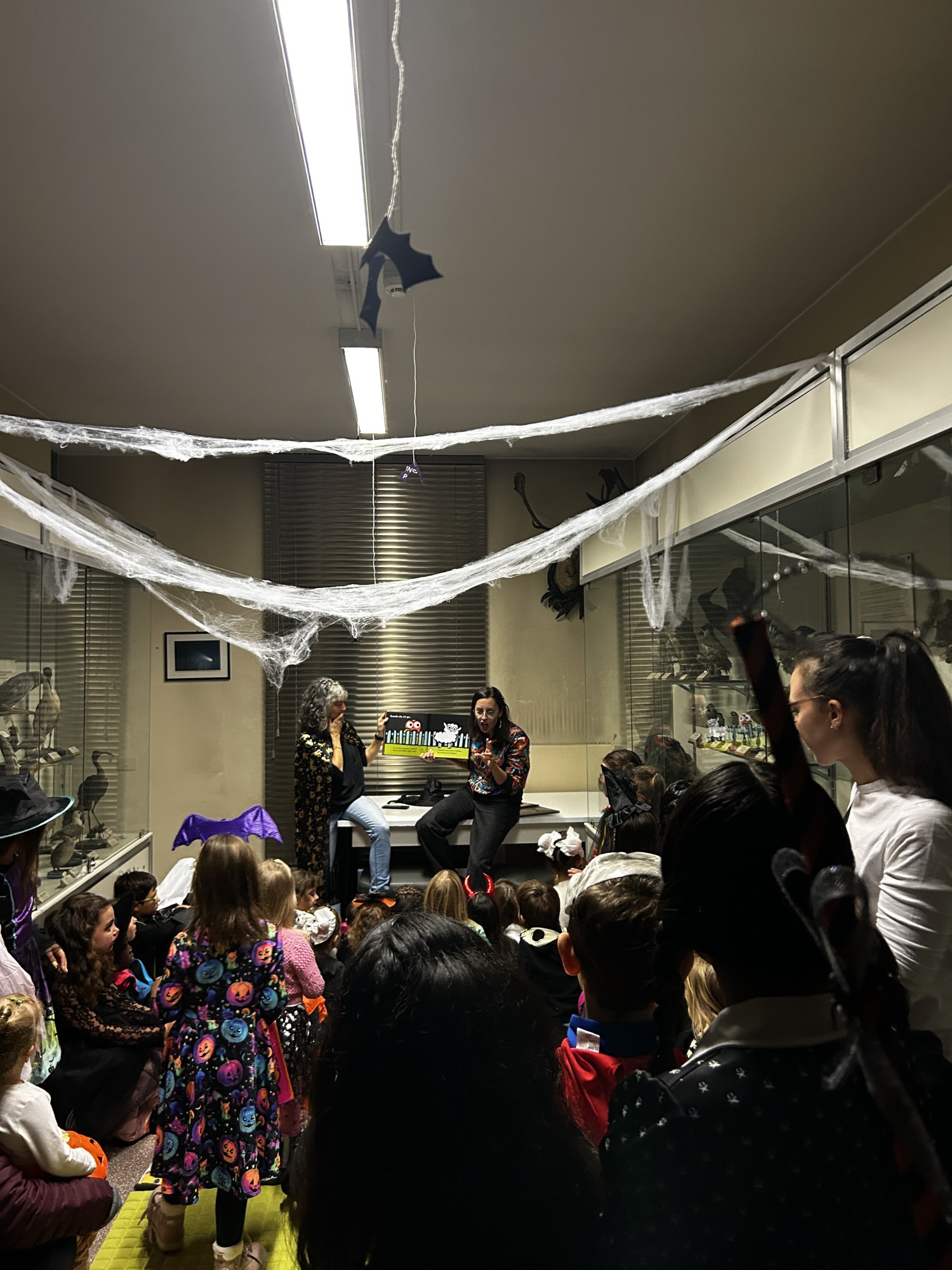 MerateHallMuseo__8_.jpeg (504 KB)