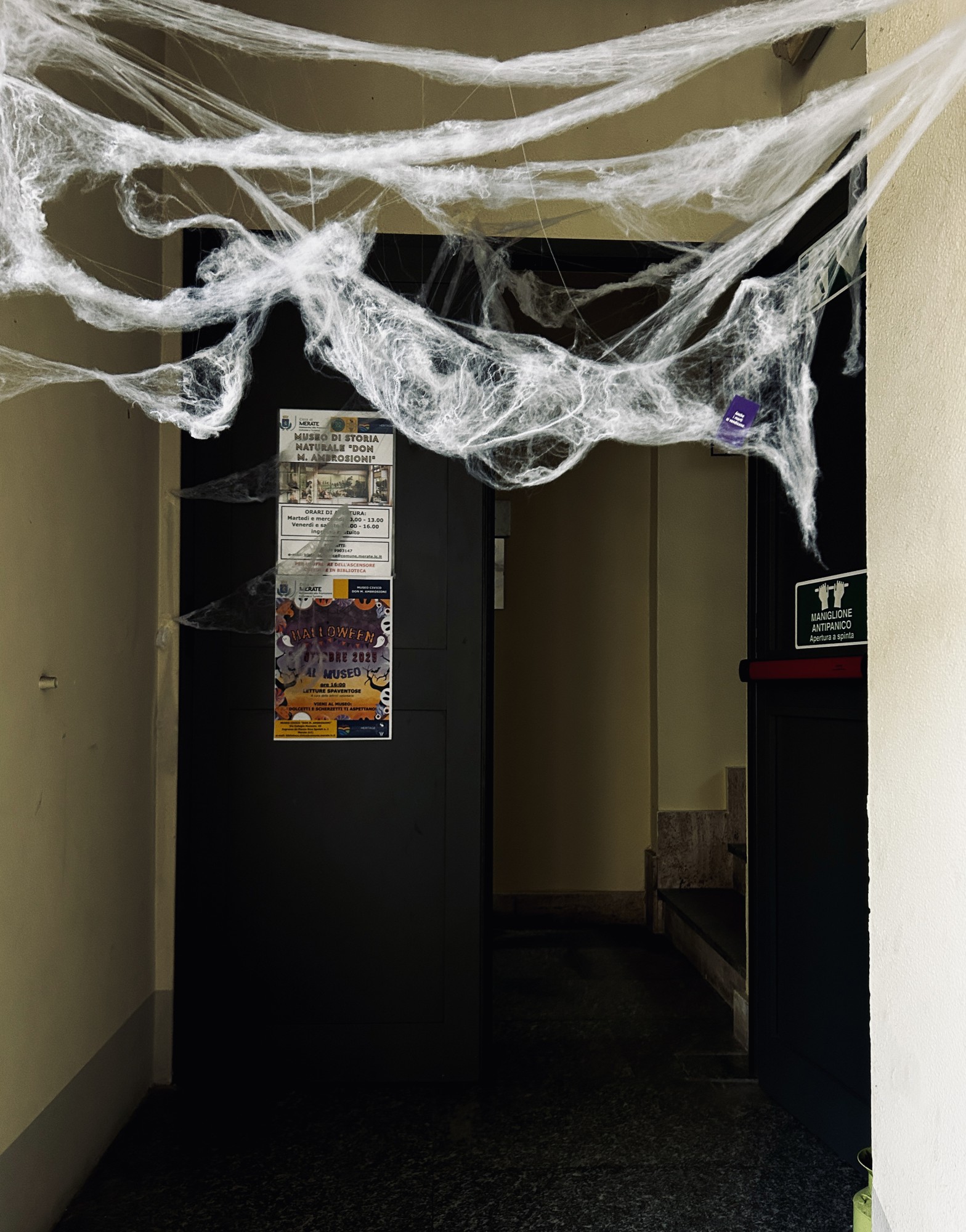 MerateHallMuseo__9_.jpeg (536 KB)