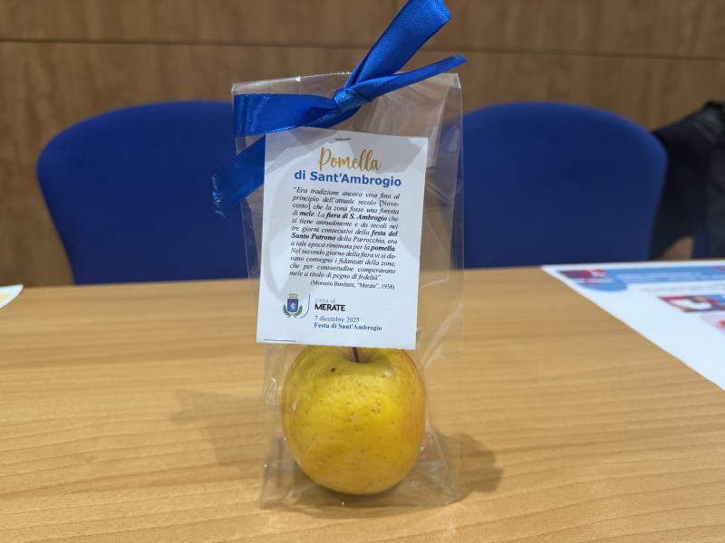 Merate_loc_sAmbrogio4.jpg (73 KB)