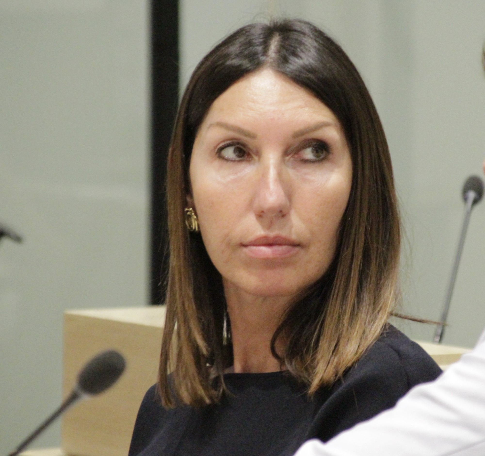 PaolaPanzeriPonte.jpg (479 KB)