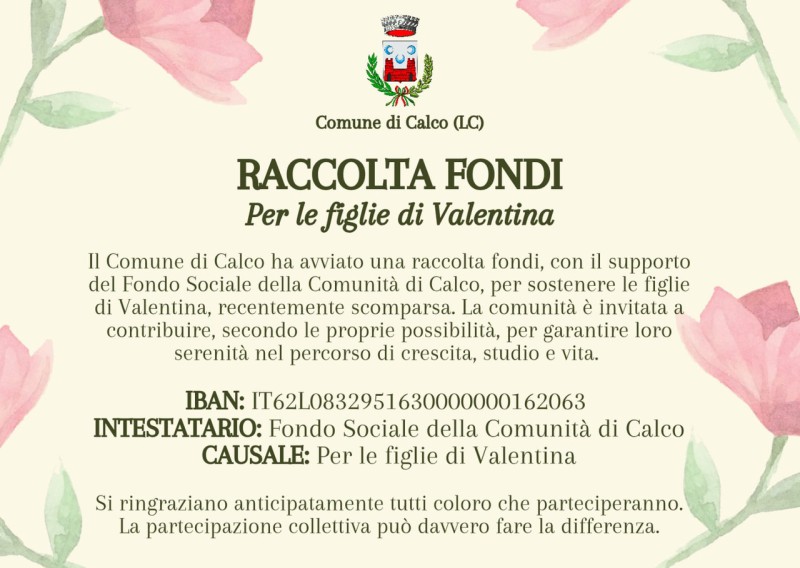 Raccolta_fondi_Calco.jpeg (86 KB)