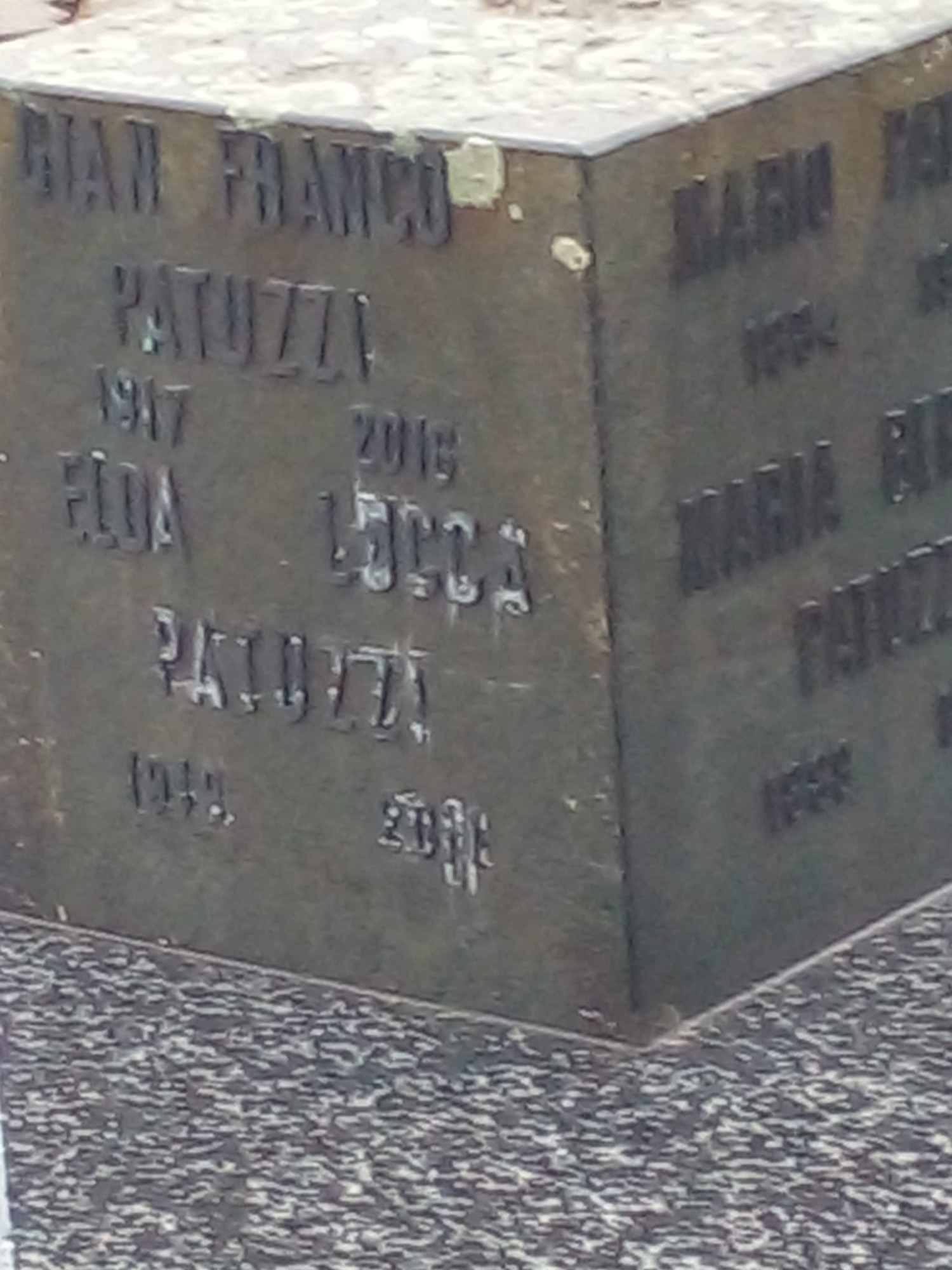 RiccercaParenti3.jpg (336 KB)