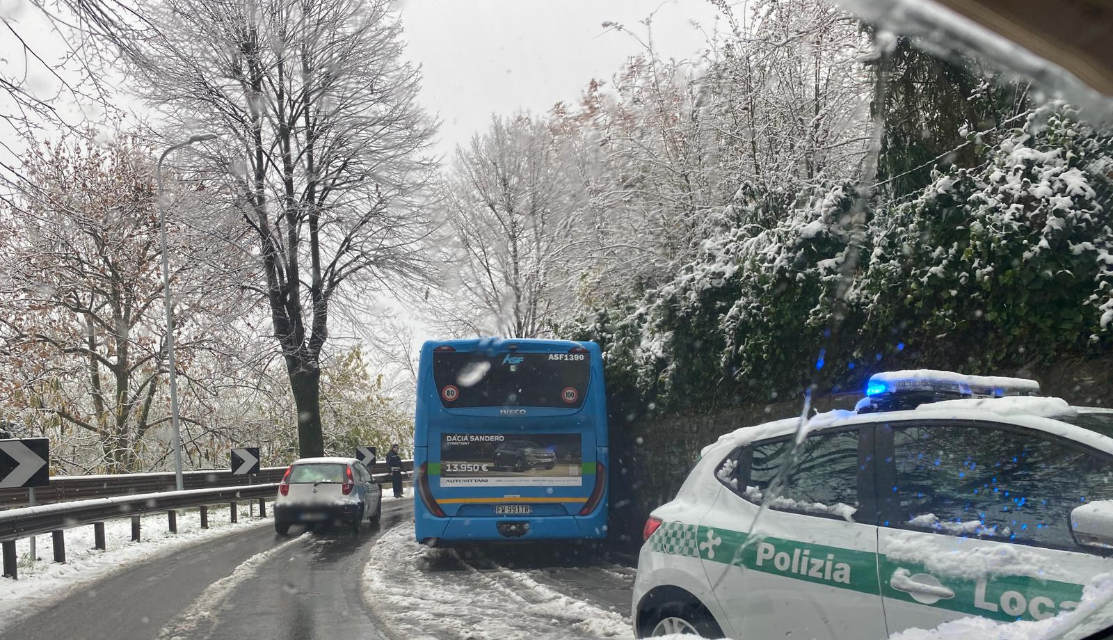 RobbiatePiantaAuto2.jpg (505 KB)