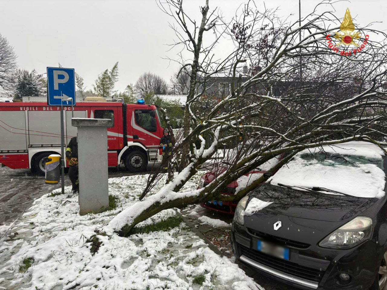 RobbiatePiantaAuto4.jpg (393 KB)