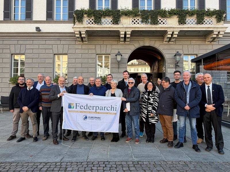 parchi3.jpg (174 KB)