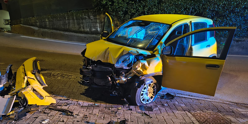 viamandamentaleprima.jpg (241 KB)