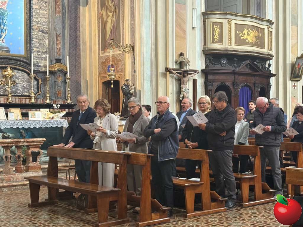3SZenoAnniversari.jpg (154 KB)
