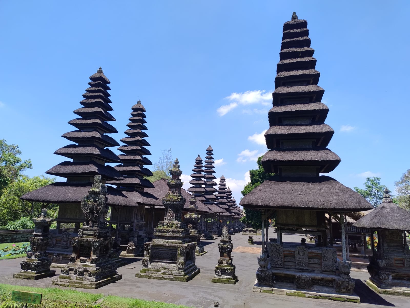 Arlati_Indonesia5.jpeg (239 KB)