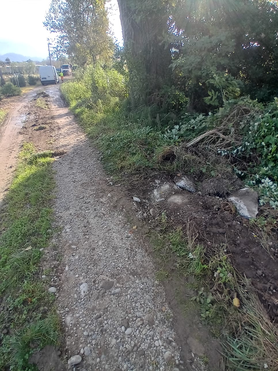 BrivioLrhIntervento__6_.jpg (293 KB)