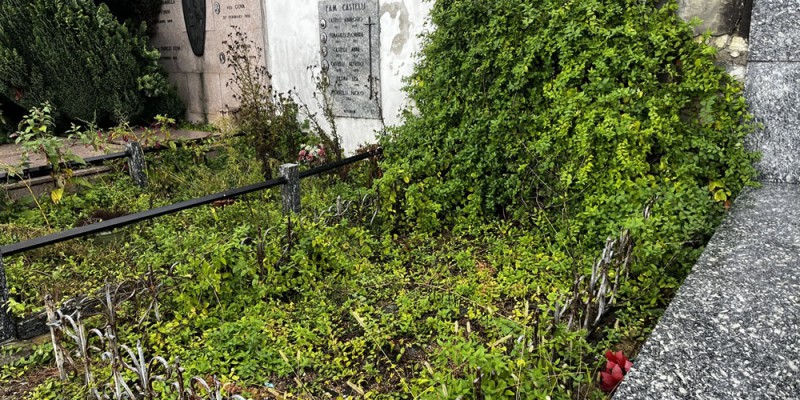 Calco_cimitero1PRIMA.jpg (163 KB)