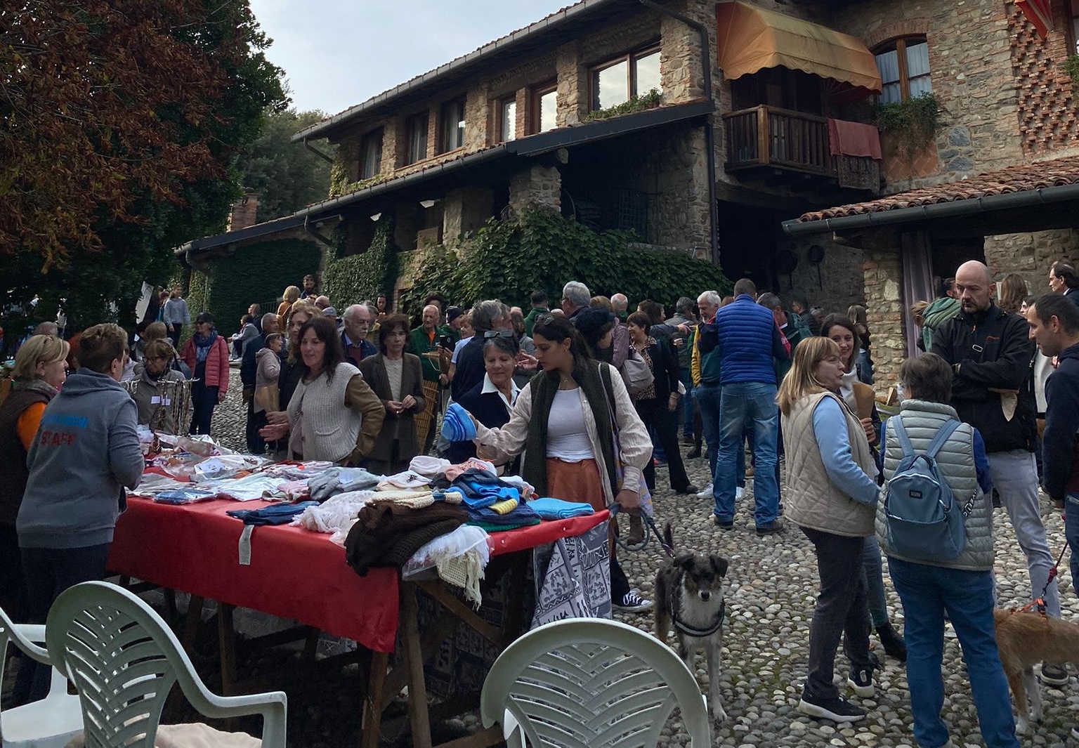 Castagnata_insieme_Olgiate6.jpg (664 KB)