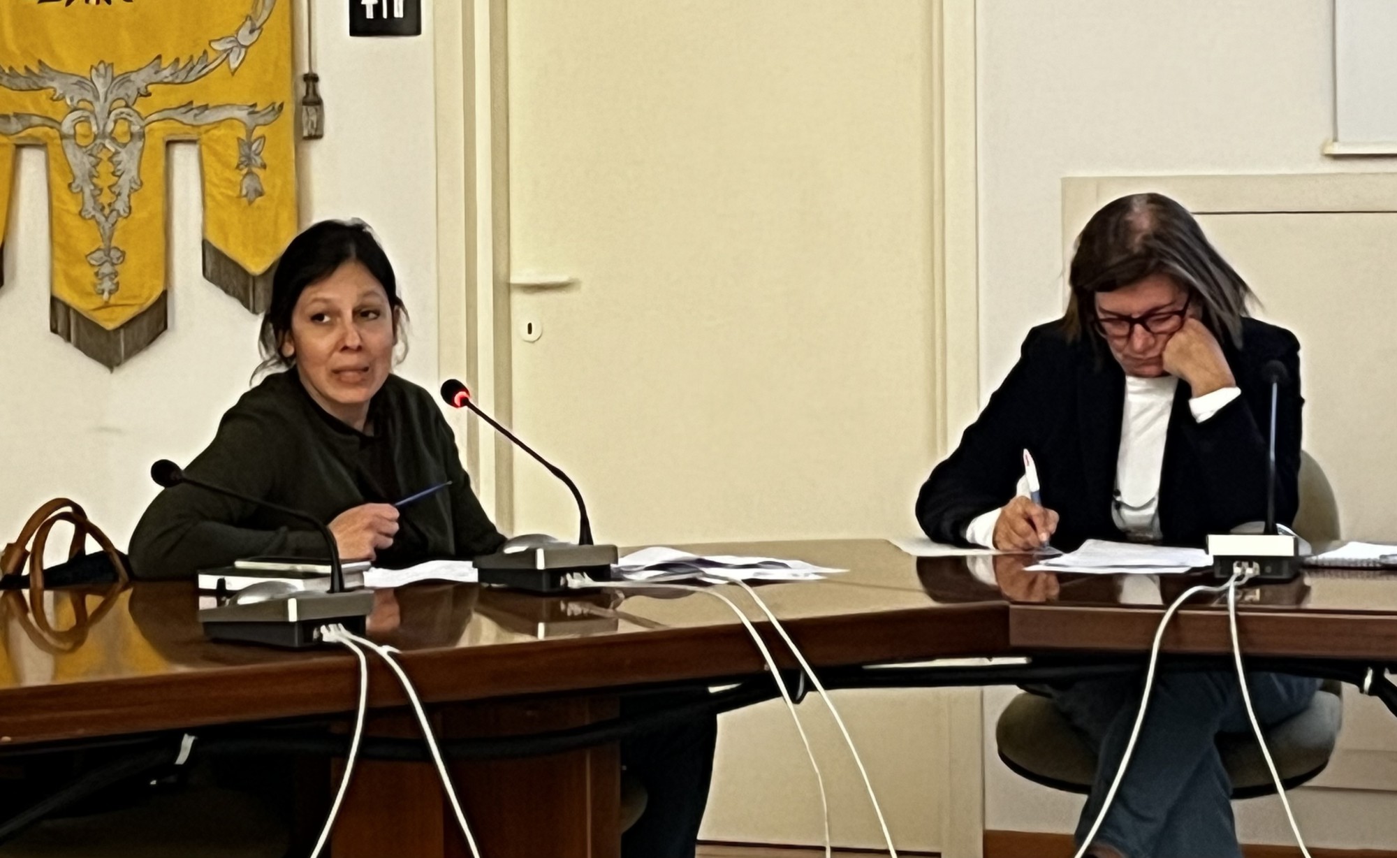 Consulta_sociale_Osnago3.jpeg (329 KB)