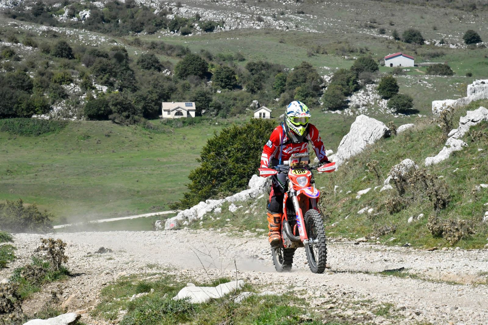 FrancescoComedini1.jpg (430 KB)